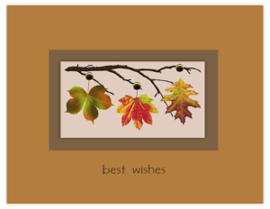 TK 11b - leaf trio copy