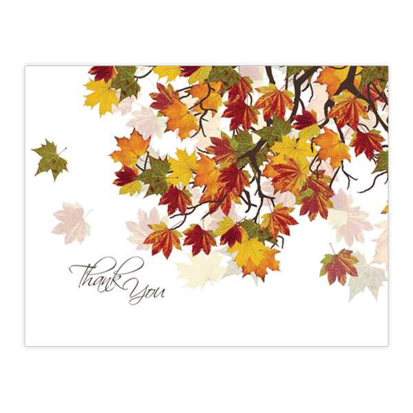 Branch and Leaves