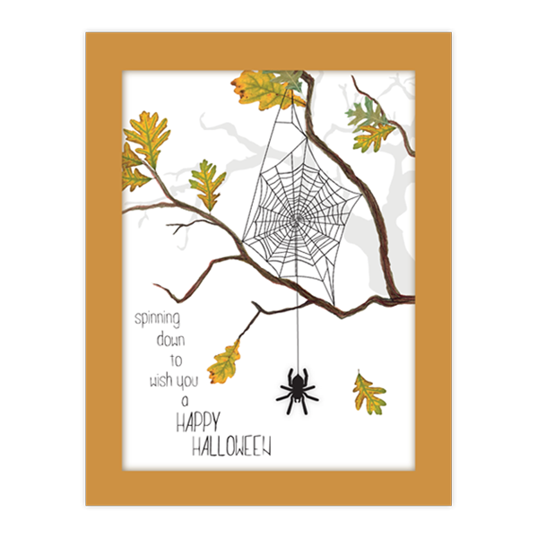 Spider Web