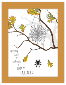 spider branch