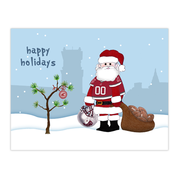 CG 61 - Santa Sack