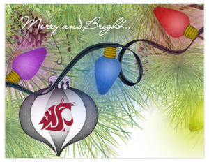 CXM 29 - light bulbs bough 'wsu' copy