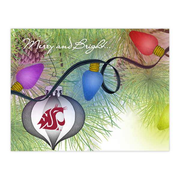 CXM 29 - Light Bulbs Bough WSU