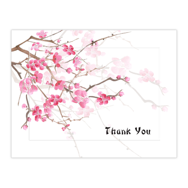 Cherry Blossoms