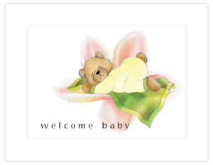 BB 11b - teddy blanket