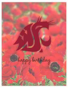 CG 27a - wsu poppies
