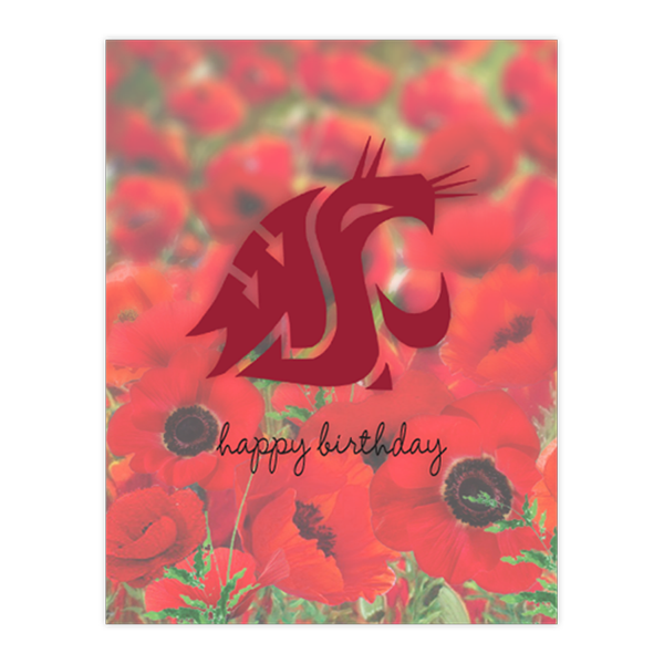 CG 27a - WSU Poppies