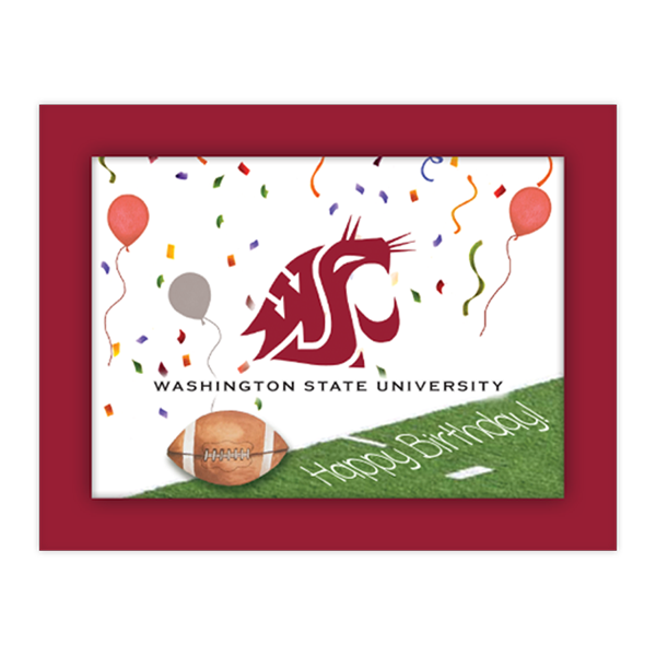 CG 42b - Football Sideline "Birthday"