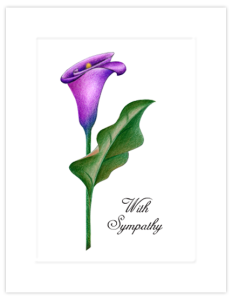 FL 10a - cala lily