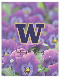 HK 27b - 'w' pansies