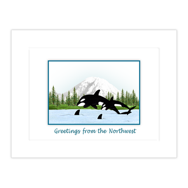 Pacific Orcas