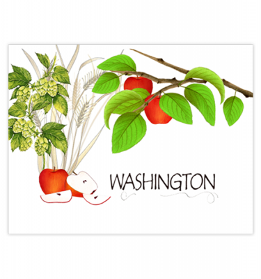 Washington Apples