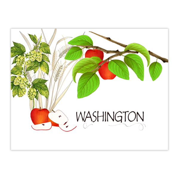 Washington Apples
