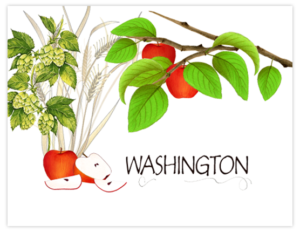 SP 10b - washington apples