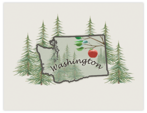 SP 08a - washington map