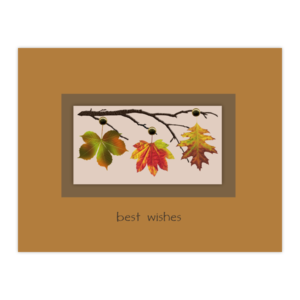 TK 11b - leaf trio