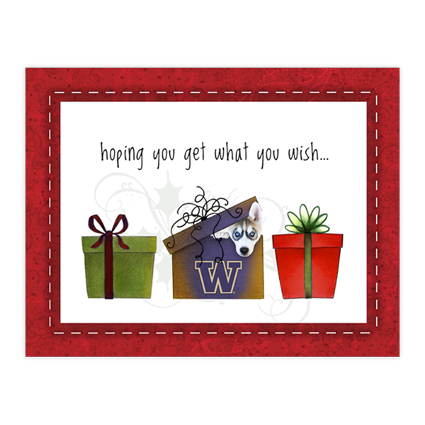 Husky Gift Box Surprise