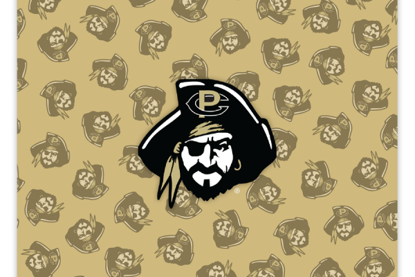 PC 15 - watermark logo pirate
