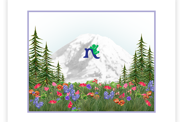 NPEI 11a - mt rainier postoid